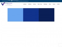 bluevioletnetworks.com