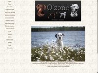 Ozone-dogs.net