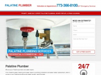 palatineplumber.net