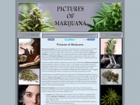 picturesofmarijuana.net Thumbnail