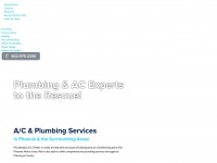 plumbingmedic.net