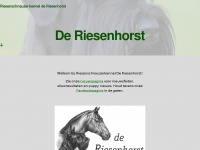 Riesenhorst.net