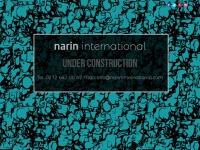 narininternational.com Thumbnail