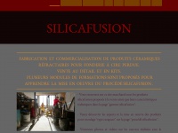 silicafusion.net
