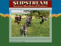 slipstreamgsp.net Thumbnail