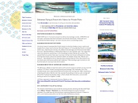 bahamasaviator.com Thumbnail