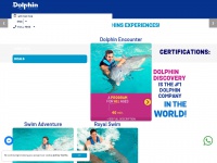 dolphindiscovery.com Thumbnail