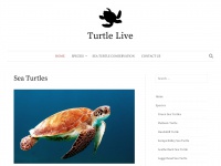 turtle-live.net