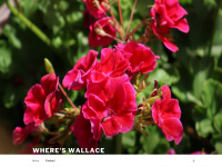 Whereswallace.net