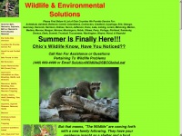 wildlifesolution.net Thumbnail