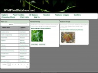 Wildplantdatabase.net