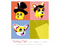 Yorky.net