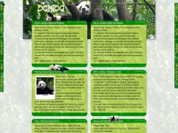 Pandanews.org