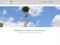 chestnuttreesurgery.com Thumbnail