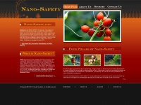 nano-safety.info