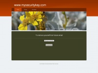 Mysecuritykey.com