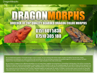 Dragonmorphs.co.uk