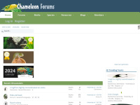 chameleonforums.com
