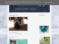 topcatrules.blogspot.com Thumbnail