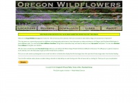 Oregonwaterfalls.com