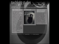 Torchlightstudios.ca