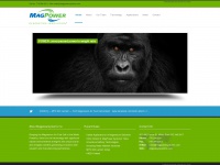 magpowersystems.com