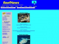 Reefnews.com