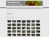 greenbriars.org