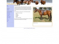 Ponynhorse.com