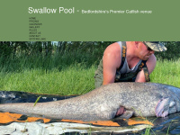 Swallow-pool.co.uk