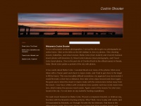 cochinshooter.weebly.com