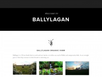 ballylagan.com Thumbnail