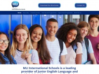 mli-group.com