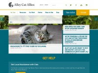 alleycat.org