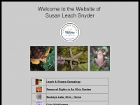 Susanleachsnyder.com