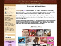 chocolatecats.com
