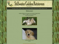 stillwatergoldenretrievers.com