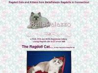 bellapalazzo-ragdollcats.com Thumbnail
