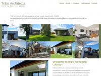 tribearchitects.ie Thumbnail