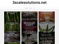 3scalesolutions.net