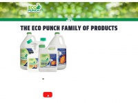 Ecopunch.com