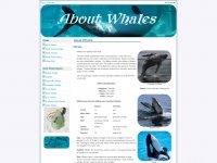 about-whales.com Thumbnail