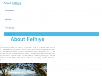 aboutfethiye.com