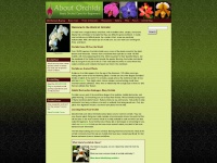aboutorchids.com