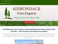 Adirondacktreeexperts.com