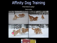 affinitydogtraining.com