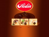 aidin.com