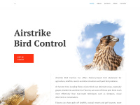 airstrikebirdcontrol.com