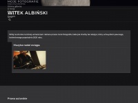 albinski.com
