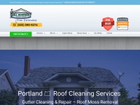 Allsurfacecleaning.com